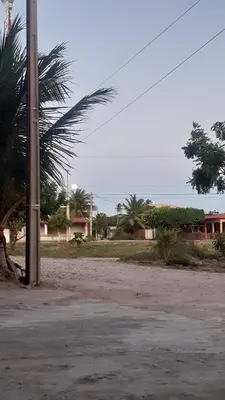 A planta de Cantinho da Tia Lucia