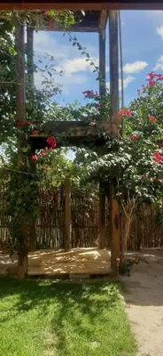 Um jardim no exterior de Casa Cariri- Preá
