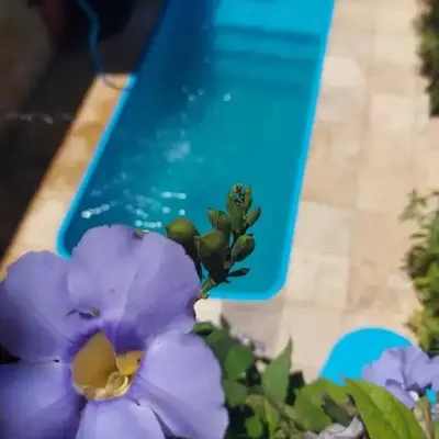 Casa Boa Venttura - Guajiru Trairi com ar e piscina