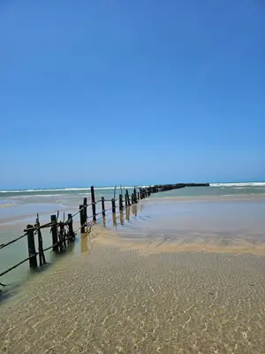 Paisagem natural perto do apartamento