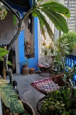 Um jardim no exterior de CASA IRACEMAR