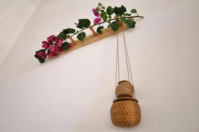 A planta de CASA IRACEMAR
