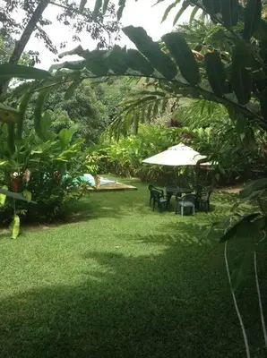 Um jardim no exterior de Chalé das Helicônias
