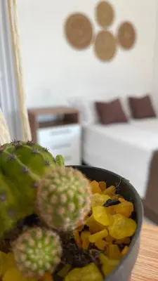 Uma cama ou camas num quarto em Suite casal na praia do Preá
