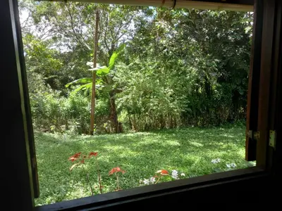 Um jardim no exterior de Casa de madeira A 6km de Guaramiranga