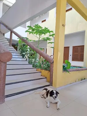 O animal ou animais de estimação com os hóspedes em Pousada leblon