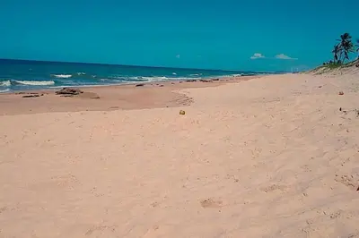 A planta de Paraiso frente ao mar, réplica de uma vila grega!