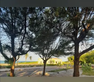 A planta de Paraiso frente ao mar, réplica de uma vila grega!