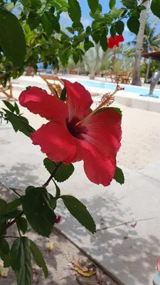 A piscina em ou perto de Pousada Unidos