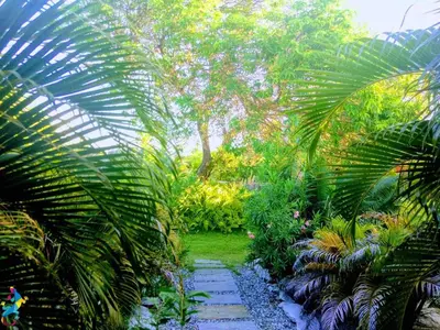 Um jardim no exterior de Castelo Vendôm Ecolodge Parajuru