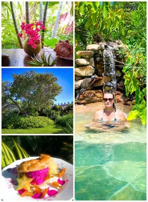 Um jardim no exterior de Castelo Vendôm Ecolodge Parajuru