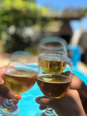 Bebidas em Pousada Casa do Bruno