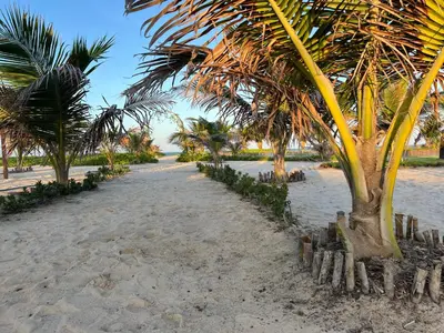 Um jardim no exterior de Jurema Dourada