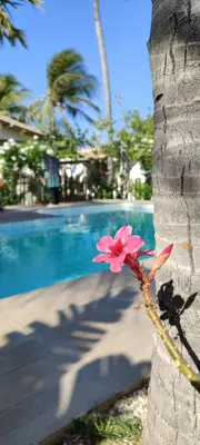 A piscina em ou perto de Pontal Praia Suítes