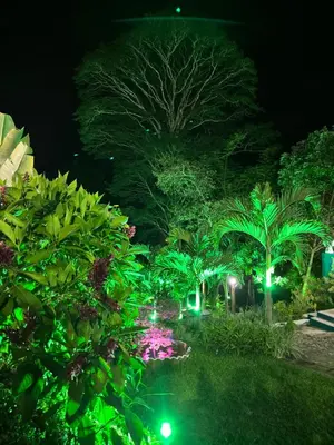 Um jardim no exterior de Casa Sítio Beija Flor