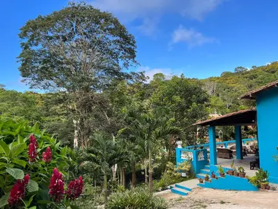 Um jardim no exterior de Casa Sítio Beija Flor