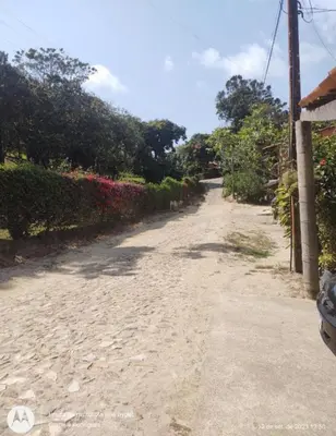 A planta de Casinha no Sítio