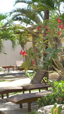 Um jardim no exterior de Pousada Villa Tomasi