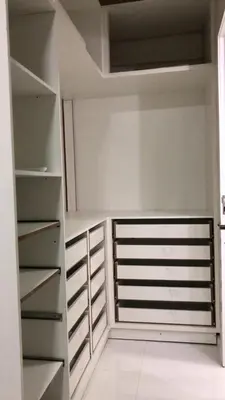 A planta de Novo-aconchegante, moderno-lindo
