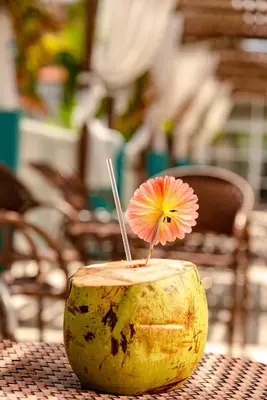 A planta de Oasis Imperial & Fortaleza