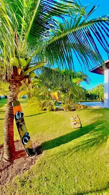 Um jardim no exterior de Villa Caju Knots