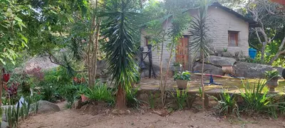 A planta de Chalé na serra da Meruoca