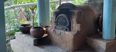A planta de Chalé na serra da Meruoca