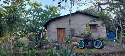 A planta de Chalé na serra da Meruoca