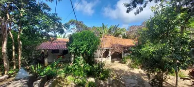 A planta de Chalé na serra da Meruoca