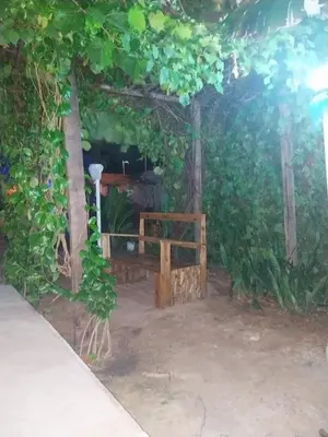 Um jardim no exterior de Jardim das Dunas