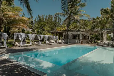A piscina em ou perto de Zebra Boutique Hotel