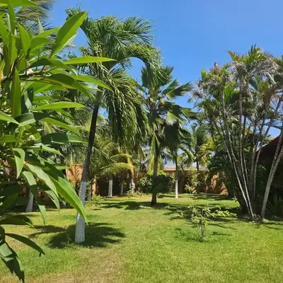 Vila jardim!
