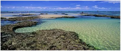 A planta de Vento Leste Suites