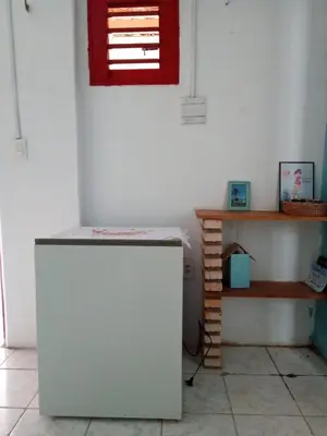 A planta de Casa azul