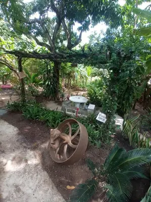 A planta de lugar de Refúgio
