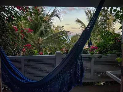 Um jardim no exterior de As Palhas