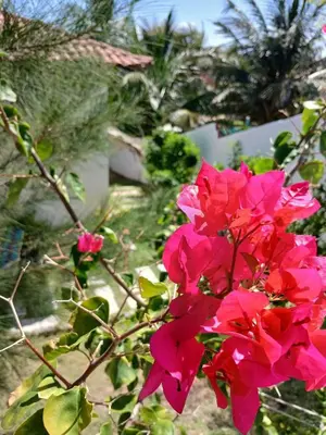 Um jardim no exterior de Bangalô Exclusivo Pontal do Maceió