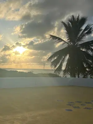 Paisagem natural perto do bed and breakfast