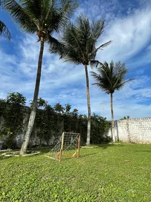 A planta de Casa pôr do sol