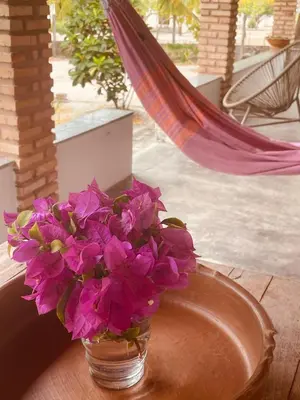 A planta de Pindoretama sitio