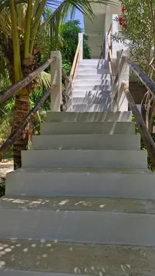 A planta de La Consta