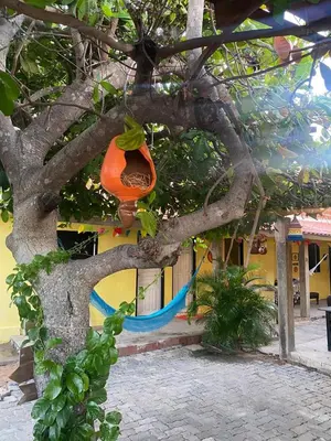 Um jardim no exterior de Portal do Sol