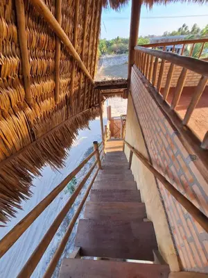 A planta de Casas Curió
