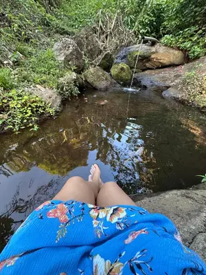 Paisagem natural perto do chalé
