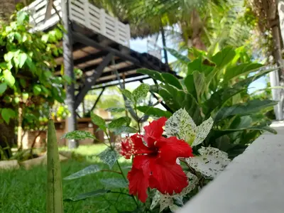 A planta de Vila Branca Canoa