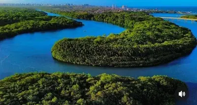 Paisagem natural perto do apartamento