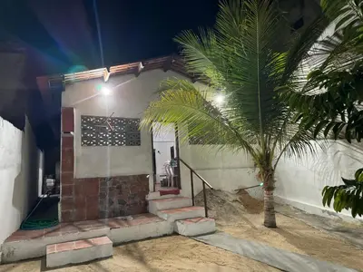 A planta de indisponivel