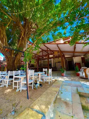Um jardim no exterior de Vila do Sol Pousada