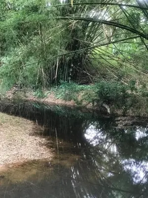 Paisagem natural perto da casa de férias