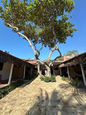 O edifício onde o apartamento está situado